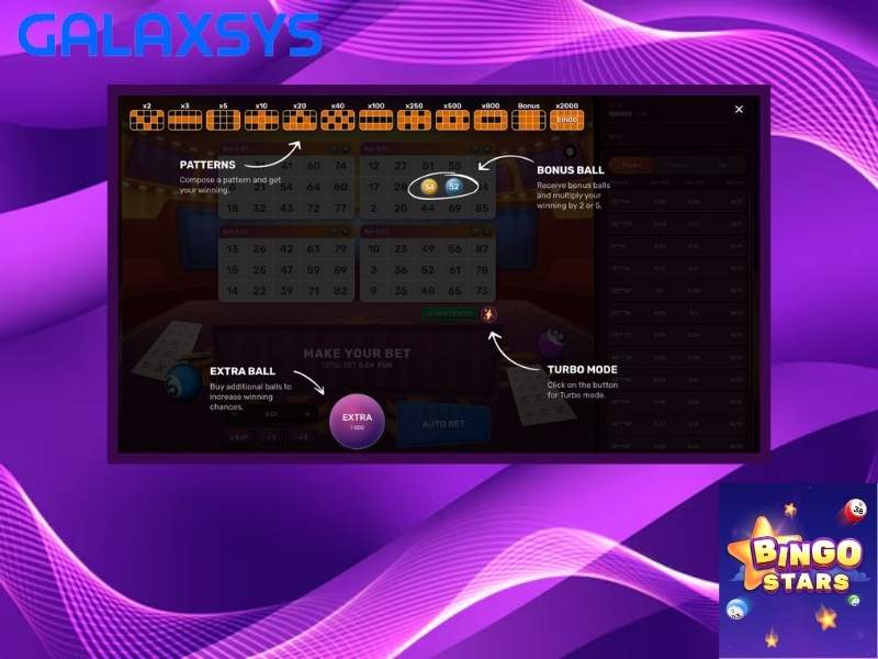 Key features of the Bingo Star